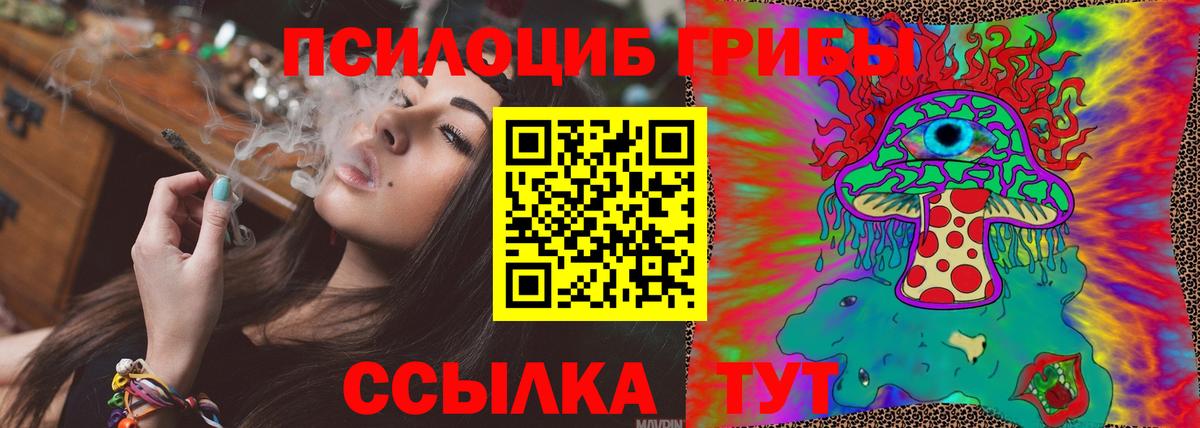 Балашов  Галлюциногенные грибы мицелий  Галлюциногенные грибы мицелий  Вход с VPN 
